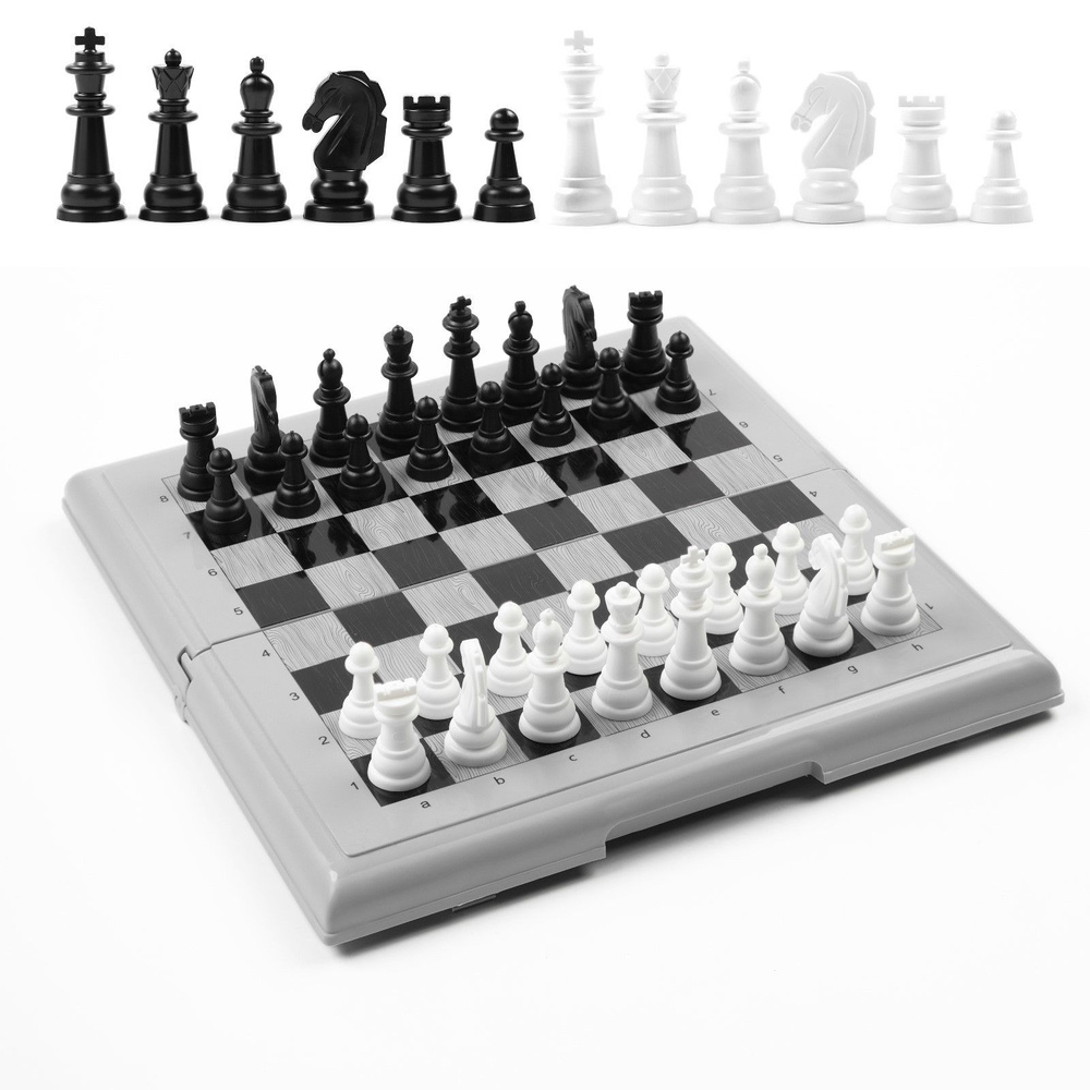 Шахматы Десятое Королевство 21 х 21 см, доска и фигуры пластик, король h-3.5 см, d-1.3 см, серые  #1