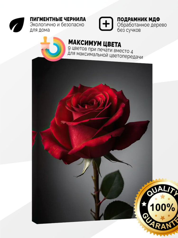 Картина на холсте 40x60 Красная роза #1