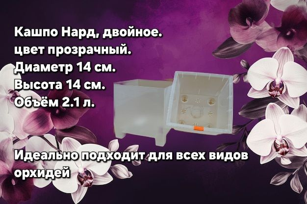 ОрхоРай Кашпо, Прозрачный, 14 см х 14 см х 14 см, 2.1 л, 1 шт #1