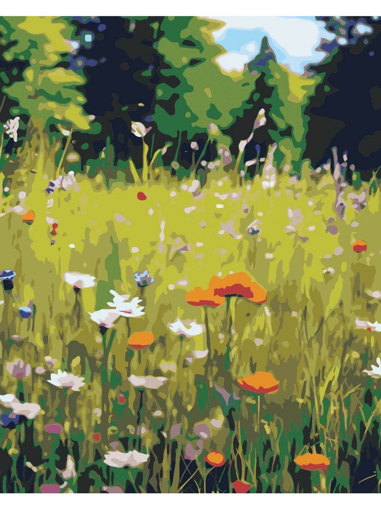 Картина по номерам цветочная поляна на холсте с деревянным подрамником размер 40х50, акриловые краски, #1