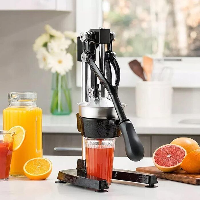 PABK store Соковыжималка Professional Juicer, черный #1