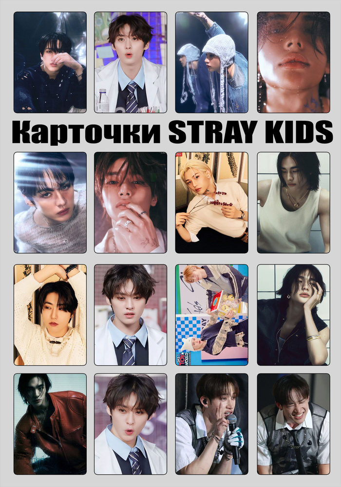 Карточки стрейкидс, Stray kids #1