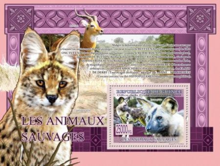 Почтовые марки Гвинея 2009г. "Фауна - Дикие Животные" MNH #1