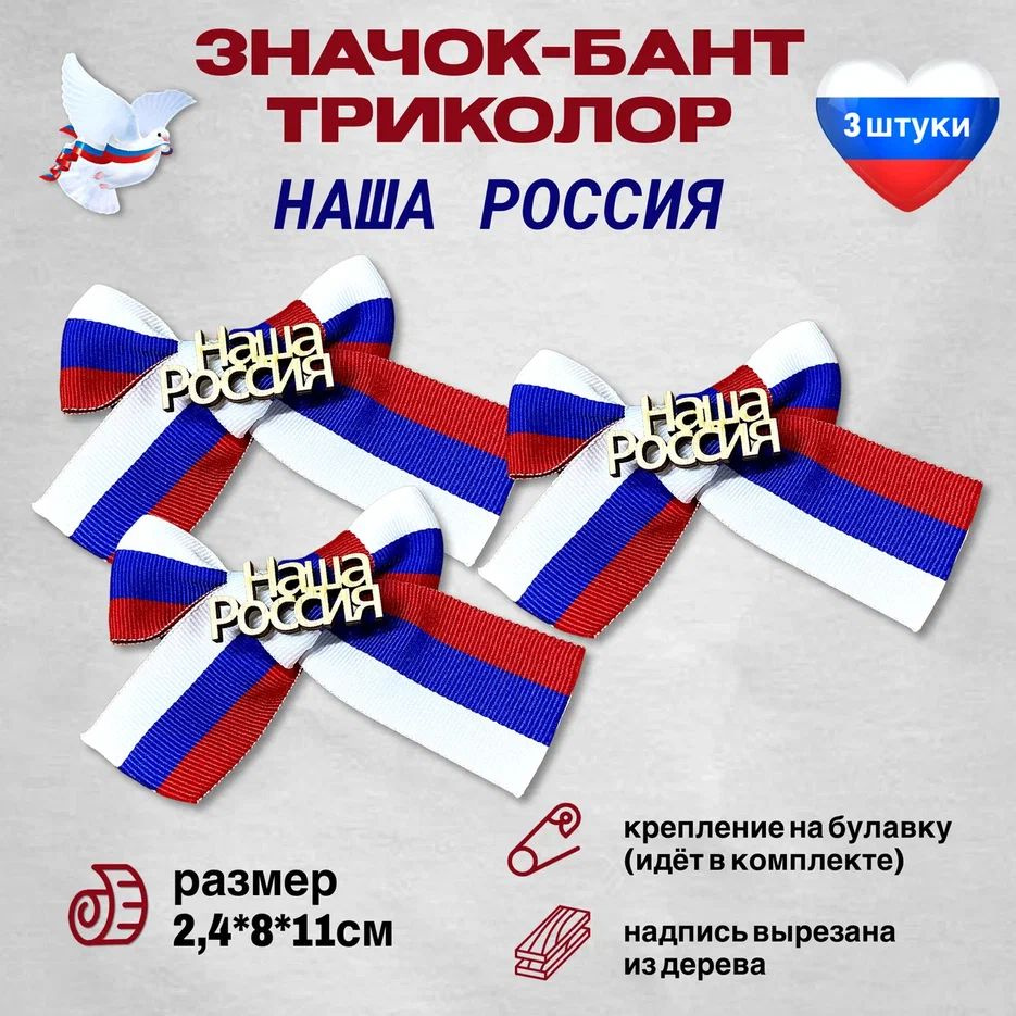 Значок Брошь День России триколор "Наша Россия" ,3 шт. #1