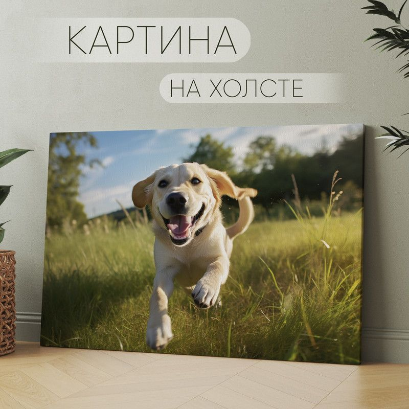 Арт Пространство Картина "милая собака Лабрадор ретривер (29)", 40 х 30 см  #1