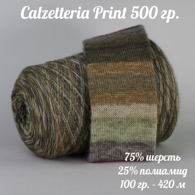 Бобинная носочная пряжа Calzetteria Print, 500г (+-15г), цвет 6004 #1