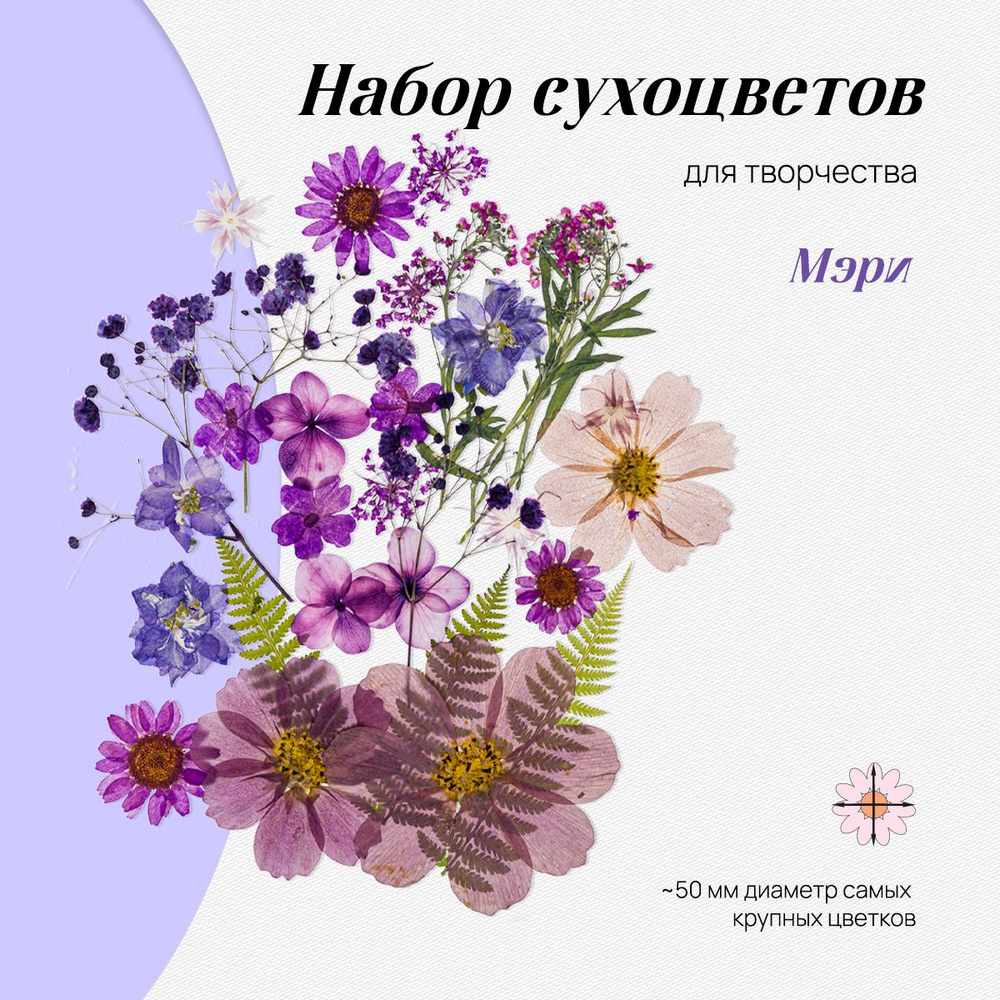 Набор натуральных сухоцветов цветов для творчества, декора, 28 шт., размер набора - 14*10 см/ сухоцветы #1