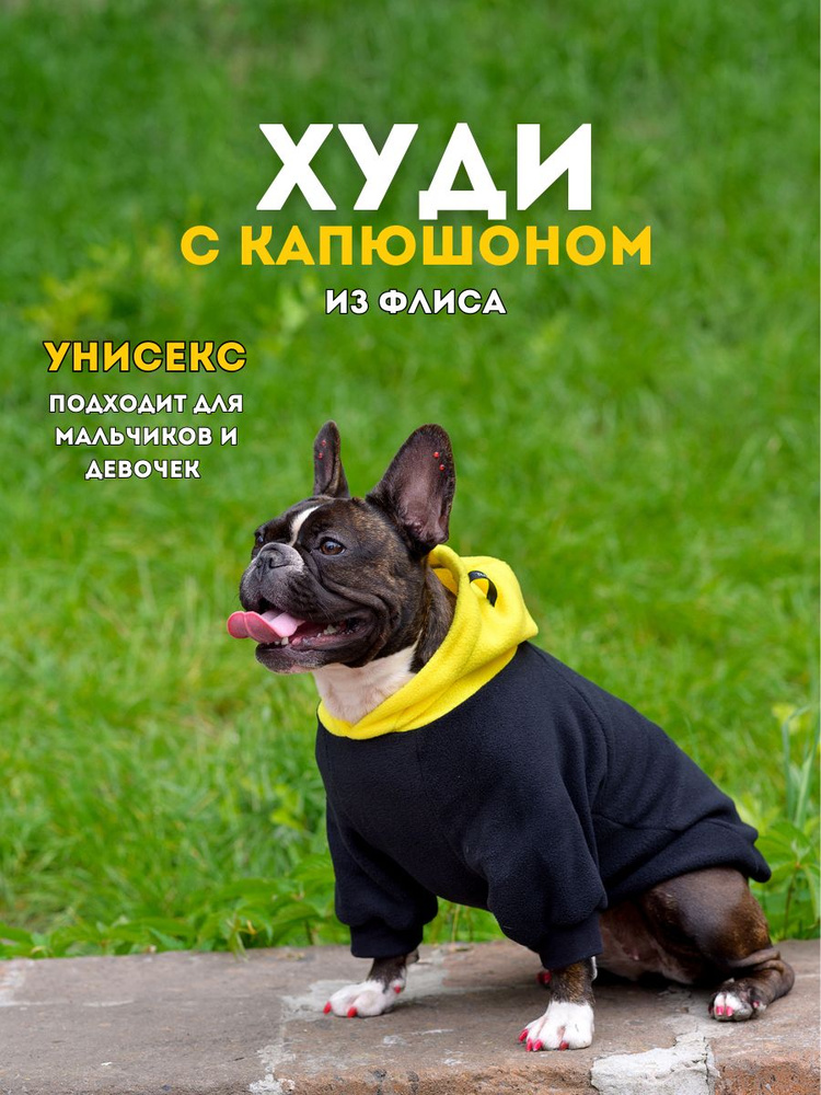 Худи для собак черный/желтый унисекс размер 5 - длина спины 38-40, обхват груди 56-58  #1
