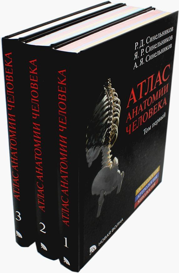 Атлас анатомии человека. В 3 т. Комплект | Синельников Рафаил Давидович, Синельников Яков Рафаилович #1