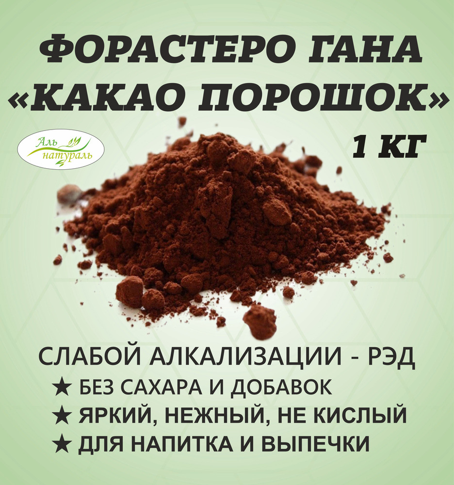 Какао порошок алкализированный 10-12% GHR, Гана 1 кг #1