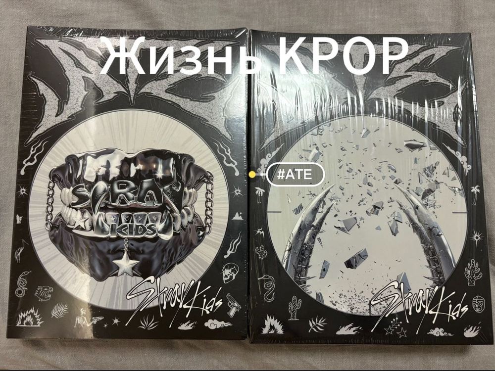 Альбомы- 2CD SET Stray Kids - 9th Mini Album ATE (Подарок на предзаказ)(Подарите ключ ATE.)  #1