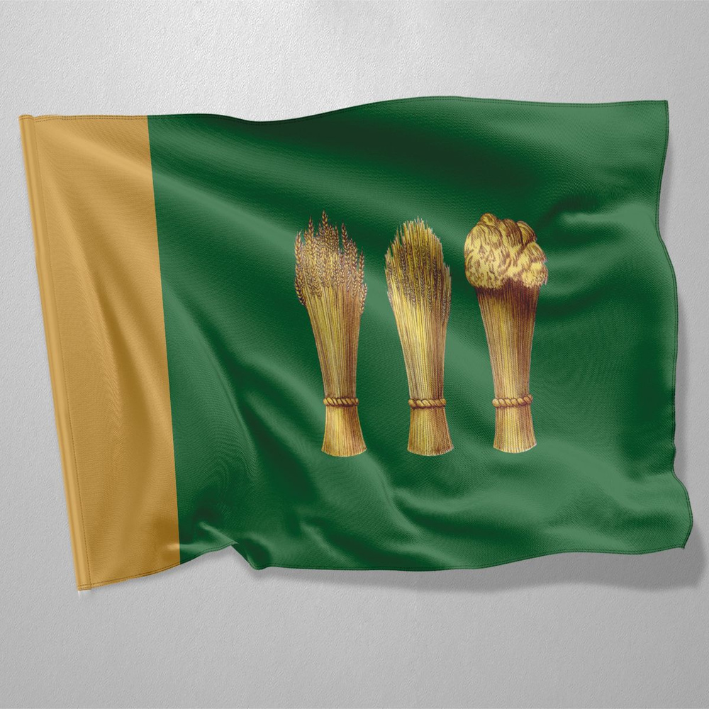 Флаг Пензы / Флаг города Пензы / 90x135 см. #1
