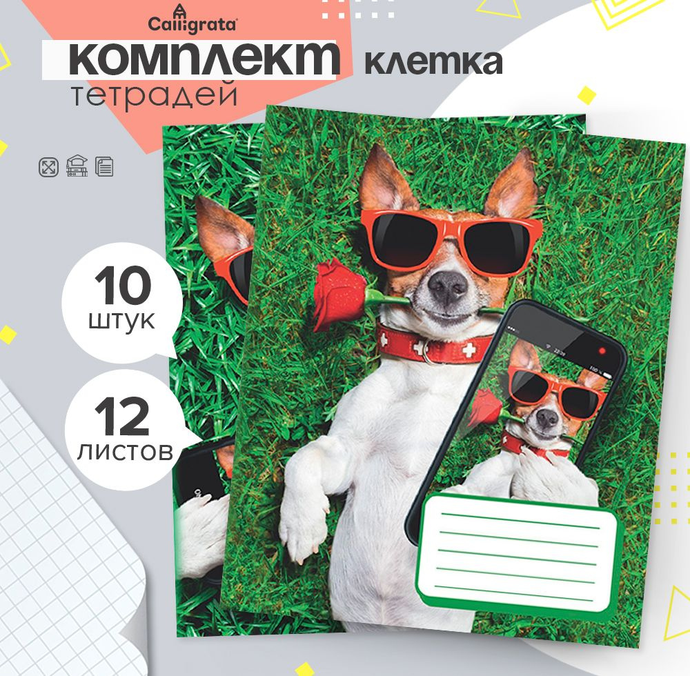 Комплект тетрадей из 10 штук, 12 листов, в клетку СелфиDOG, обложка мелованный картон, белые листы  #1