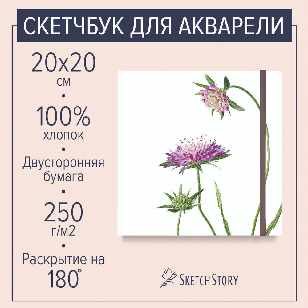 Квадратный скетчбук для акварели "Короставник" с бумагой 100% хлопок 250г., блокнот акварельный в твердом #1