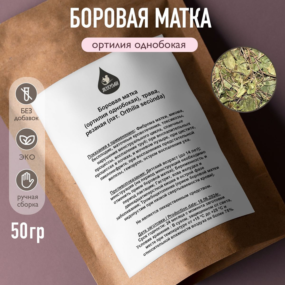 Боровая матка (ортилия однобокая), 50 гр #1