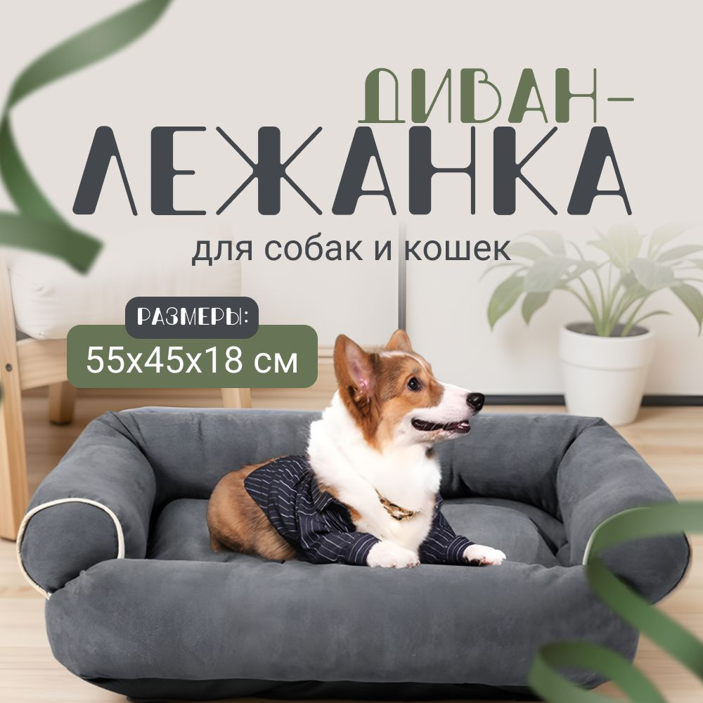 Лежанка для собак и кошек ZOOWELL Classic Диван кровать для животных с бортиками 55*45*18 см  #1