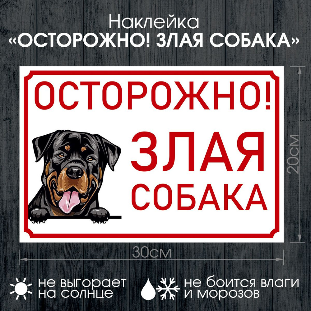 виниловая наклейка "Осторожно! Злая собака". Стойкая УФ-печать 30х20см  #1