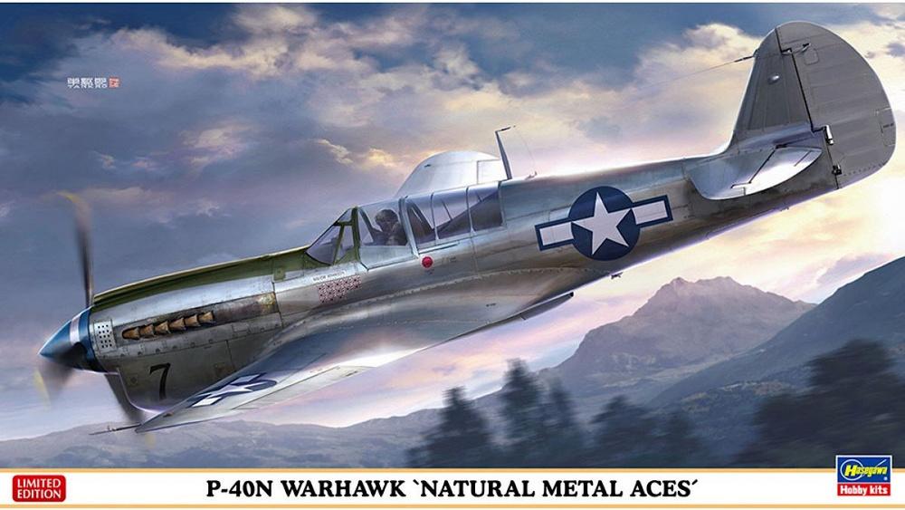 Hasegawa P-40N Warhawk "Natural metal aces", Limited Edition, 1/48, Сборная модель #1