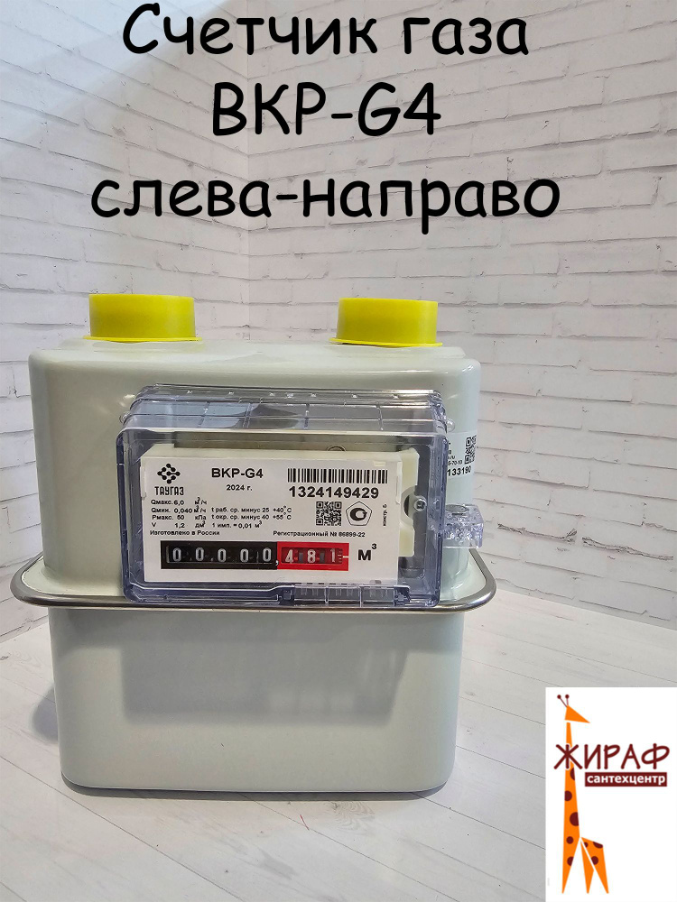 ГАЗЭЛЕКТРОНИКА BKP-G4T Счетчик газа Левый, G4 #1