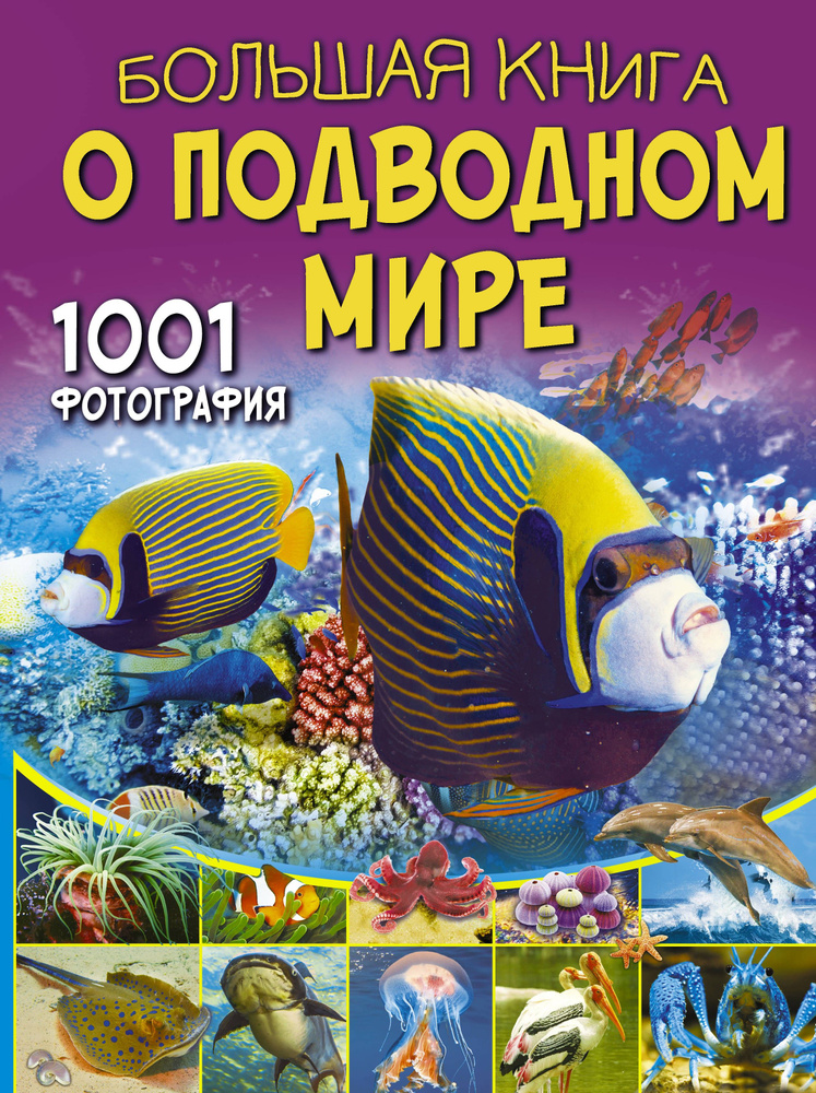 Большая книга о подводном мире. 1001 фотография | Ликсо Вячеслав Владимирович  #1