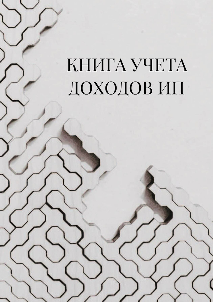 Книга учета доходов для ИП на патенте #1