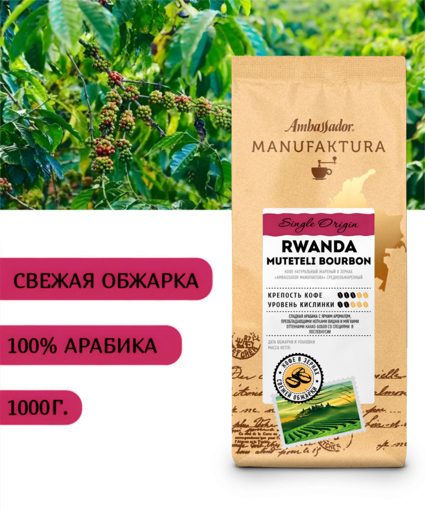 Кофе в зернах свежей обжарки Ambassador Manufaktura Rwanda Muteteli Bourbon, 1000г  #1