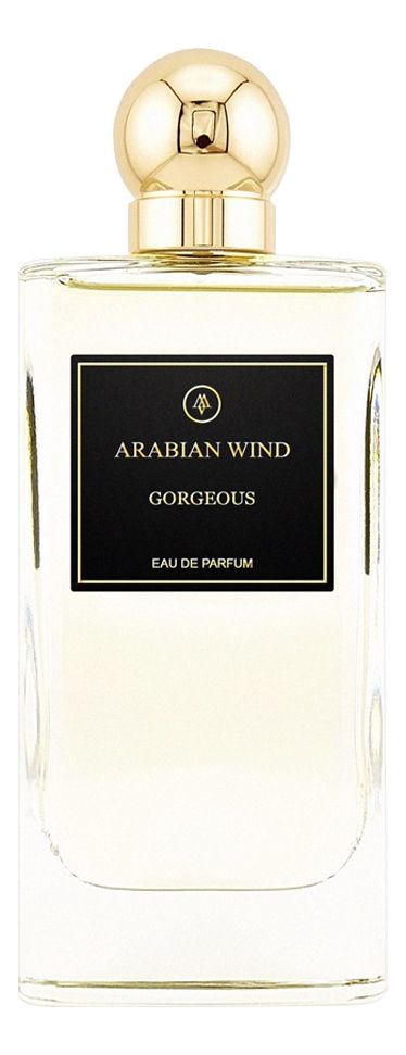 Arabian Wind Gorgeous Парфюмерная вода для мужчин 75 ml #1