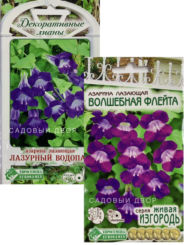 Азарина лазающая набор Дуэт, 2 пакета семян по 5 шт, Евросемена  #1
