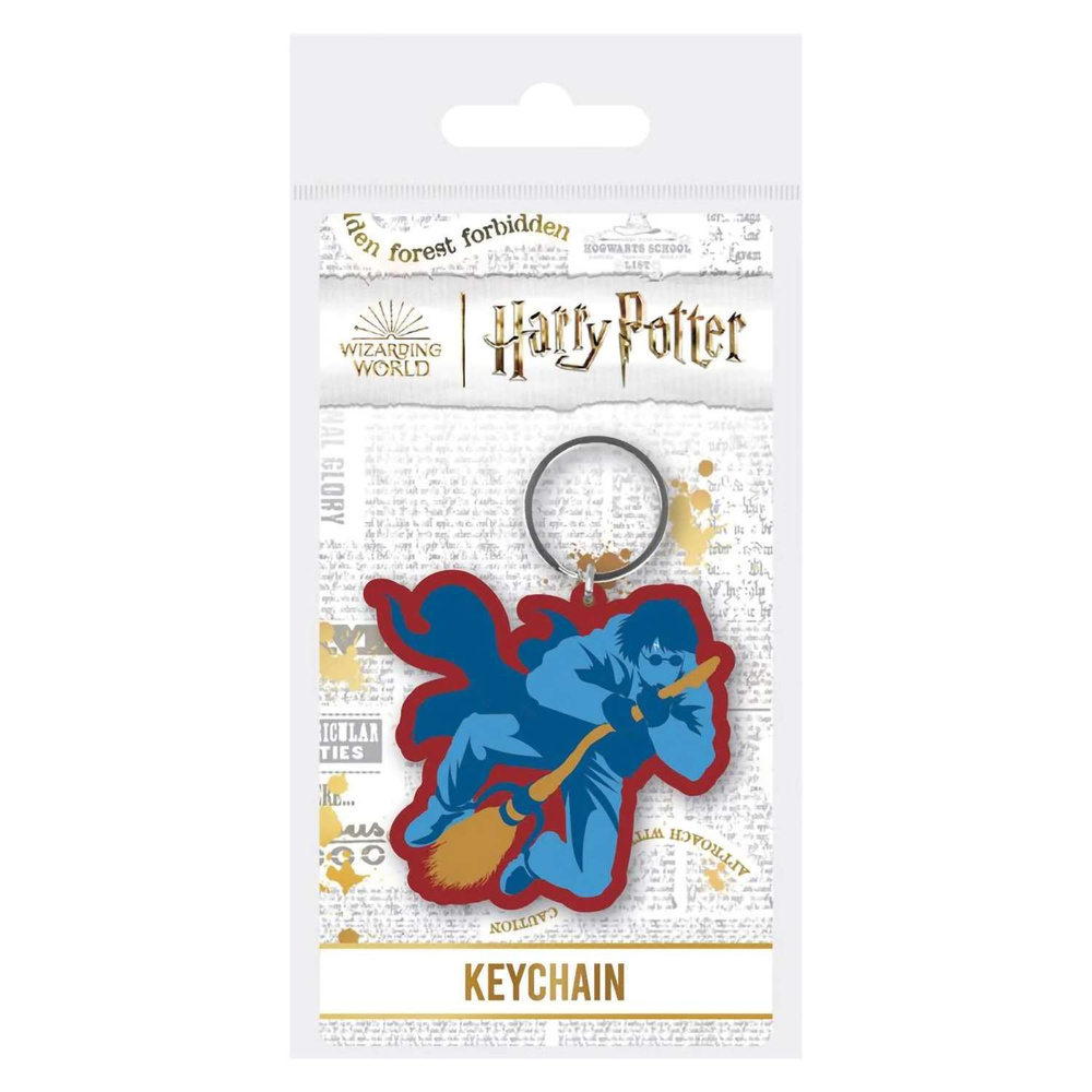 Брелок Harry Potter Checkmate Harry Broom RK39427C #1