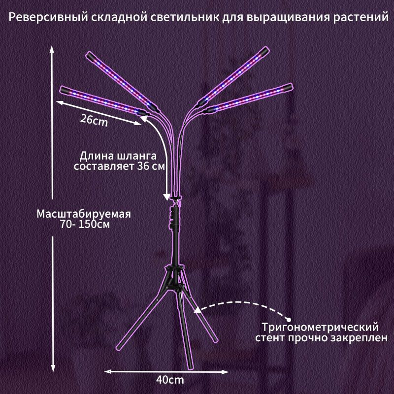 Текстовое описание изображения