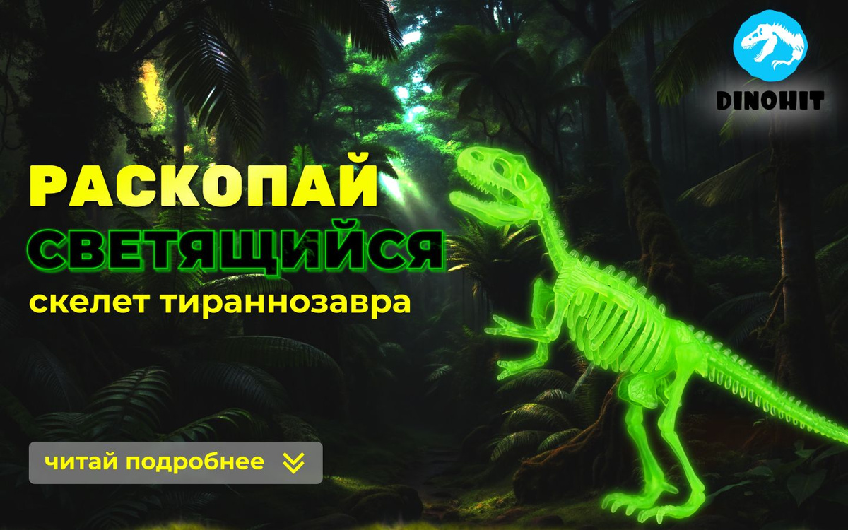 Раскопки для детей "Светящийся скелет динозавра Тираннозавра" - это уникальный набор, который подарит вашему ребенку, внучке или внуку возможность отправиться в захватывающее путешествие в мир динозавров. С помощью этого набора, дети в возрасте от 7 до 12 лет смогут стать настоящими археологами и раскопать собственного тираннозавра!  Этот невероятно интересный набор включает все необходимые инструменты для проведения ярких и увлекательных раскопок (долото, молоток, кисточка). Вас ожидают нетривиальные эксперименты с раскопками и исследованиями, которые помогут узнать много нового о динозаврах. Уникальность этого набора заключается в том, что скелет Тираннозавра светится в темноте. Набор археолога детский для раскопок динозавров имеет все признаки проведения настоящих исследований. Для начала юный археолог должен подготовить основу для их проведения, для этого может послужить полиэтиленовая основа. Это необходимо, чтобы игрушка динозавр не загрязнила в процессе работы территорию вашего дома или квартиры. После этого можно распаковать набор раскопок и начать настоящее археологическое исследование. Для дополнения к опыту прилагаются карточка, в которой описана занимательная информация о Тираннозавре.