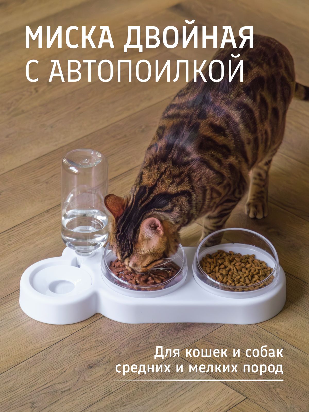 Мискадлякошексобак,мискидлякошексобак,дляживотных