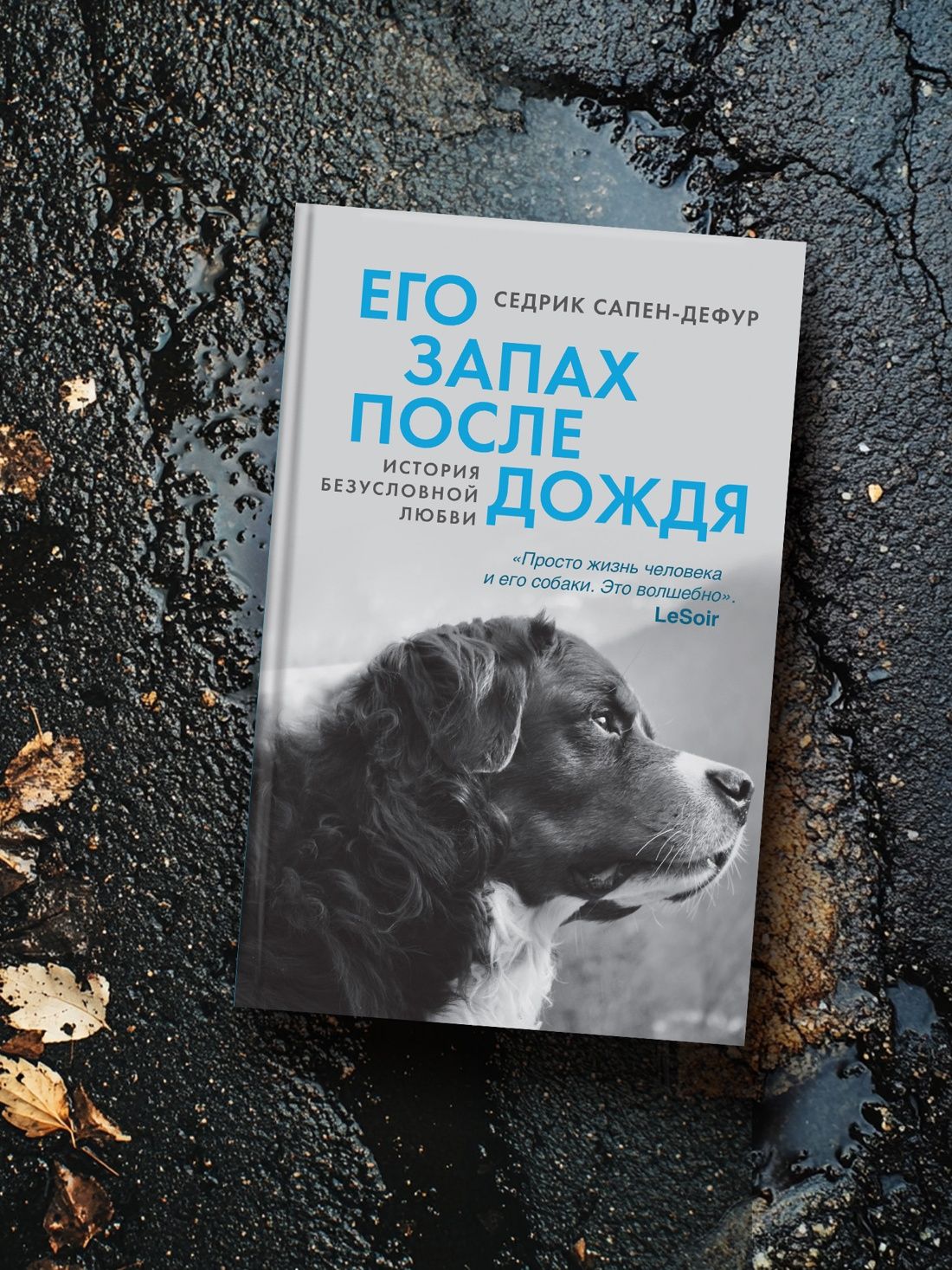 Его запах после дождя | His Scent After the Rain - Ozon image 5