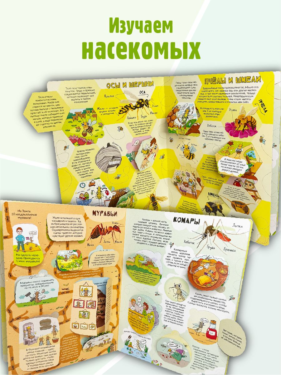 Книга детская энциклопедия с окошками Виммельбух | My First Book About Insects - Ozon image 1