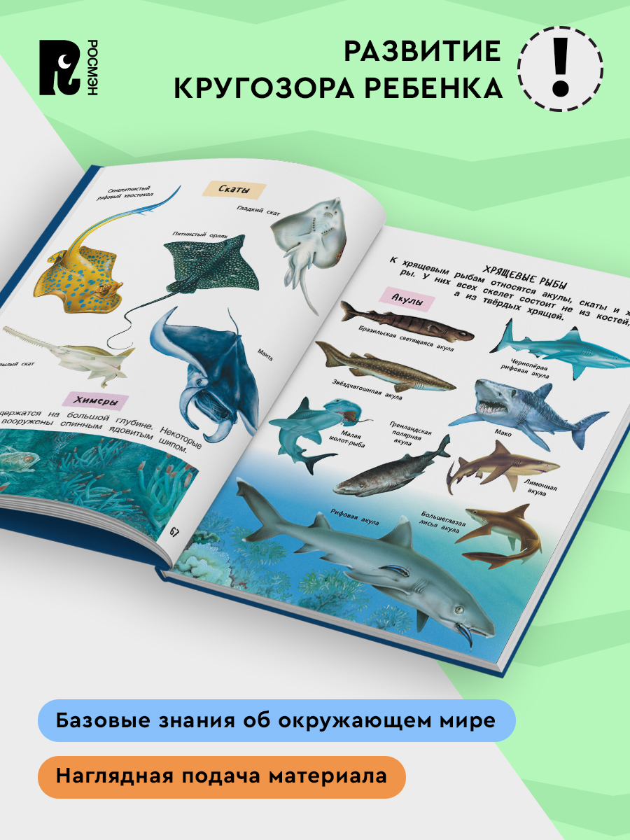 Лучшая энциклопедия для детей. Книга познавательных фактов | The Best Encyclopedia for Children. A Book of Informative Facts - Ozon image 1
