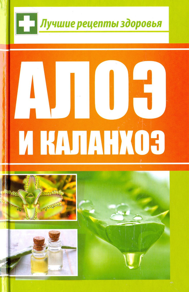 Алоэ и каланхоэ. Лучшие рецепты здоровья | Сайдакова Раиса Ивановна  #1