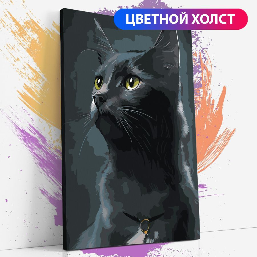 Картина по номерам на холсте с подрамником "Черный кот, кошка", 40х60 см  #1