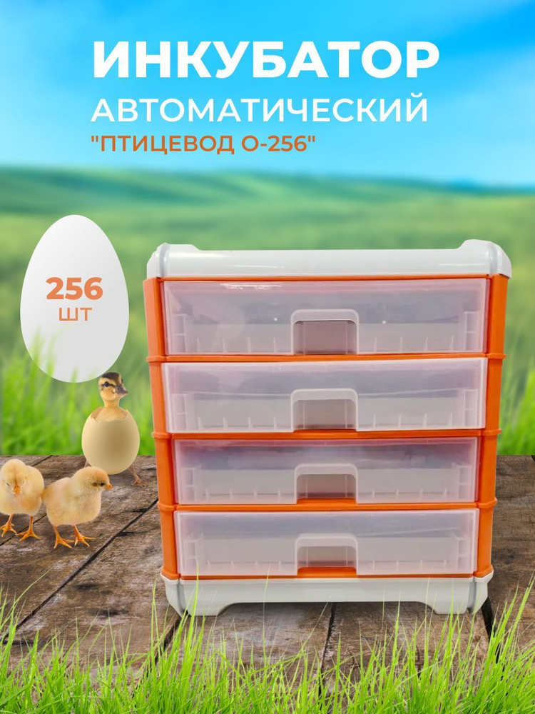 Инкубатор Птицевод на 256 куриных яиц #1