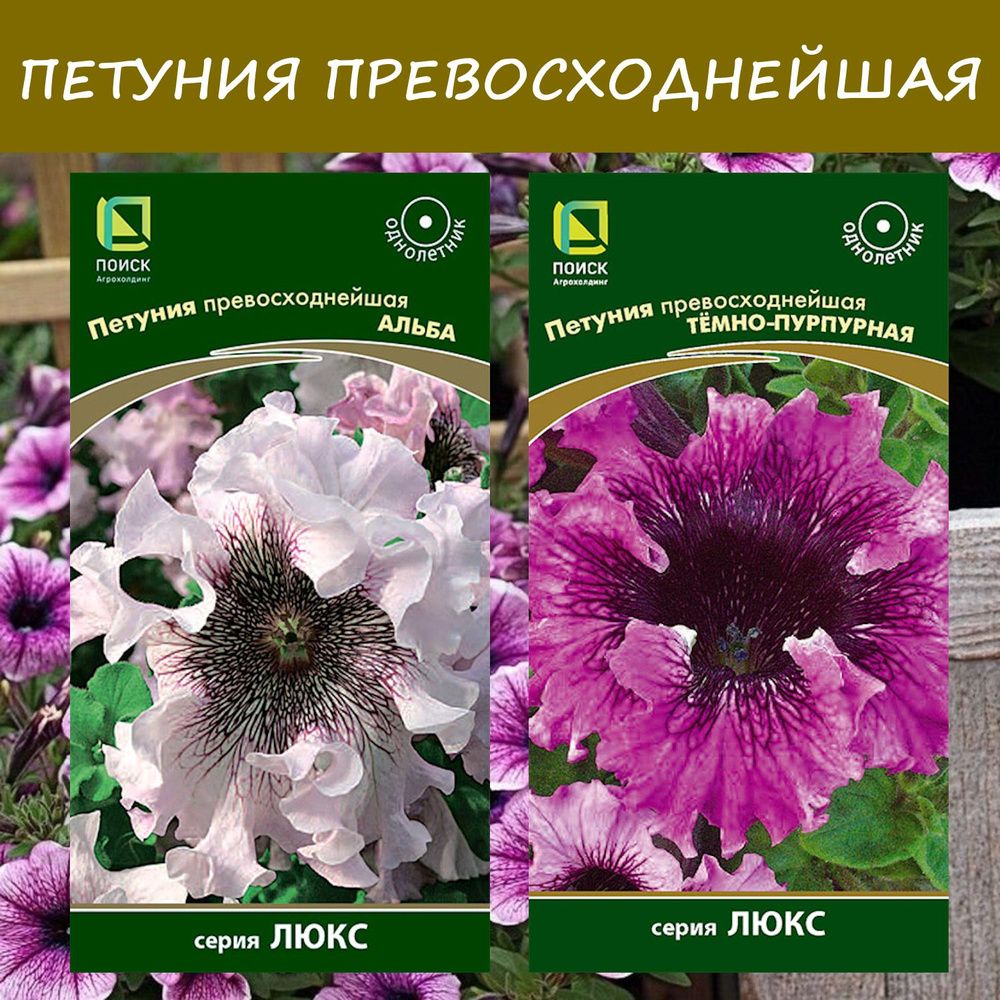 Набор семян: Петуния Превосходнейшая Альба; Темно-пурпурная, 2 упаковки, серия "ЛЮКС"  #1