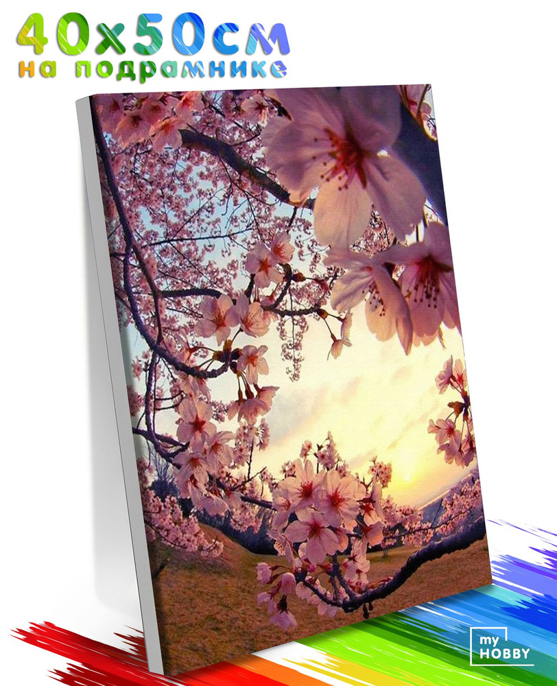 Картина по Номерам на Холсте 40х50 см Colibri Сакура Весной Цветы С Подрамником Для Детей и Взрослых #1