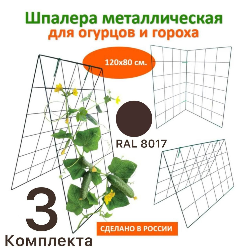 Шпалера Домик двойная, 1.2м * 0.8м опора садовая из металла для вьющихся растений, овощей, огурцов, гороха #1