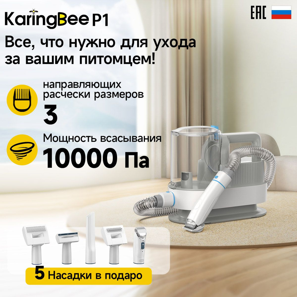 Бытовой пылесос KaringBee P1, белый - купить по низким ценам в  интернет-магазине OZON (1251921418)