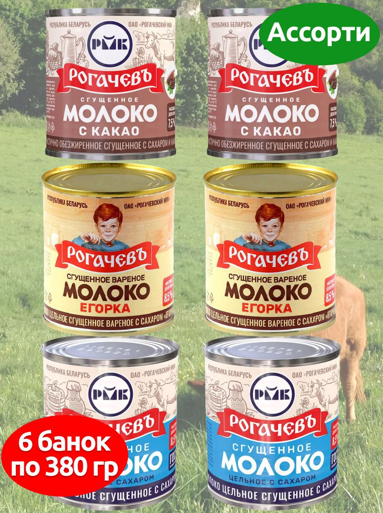 Молоко сгущенное Рогачев с сахаром, сгущенка ассорти 3 вкус, 6 банок по 380 грамм  #1