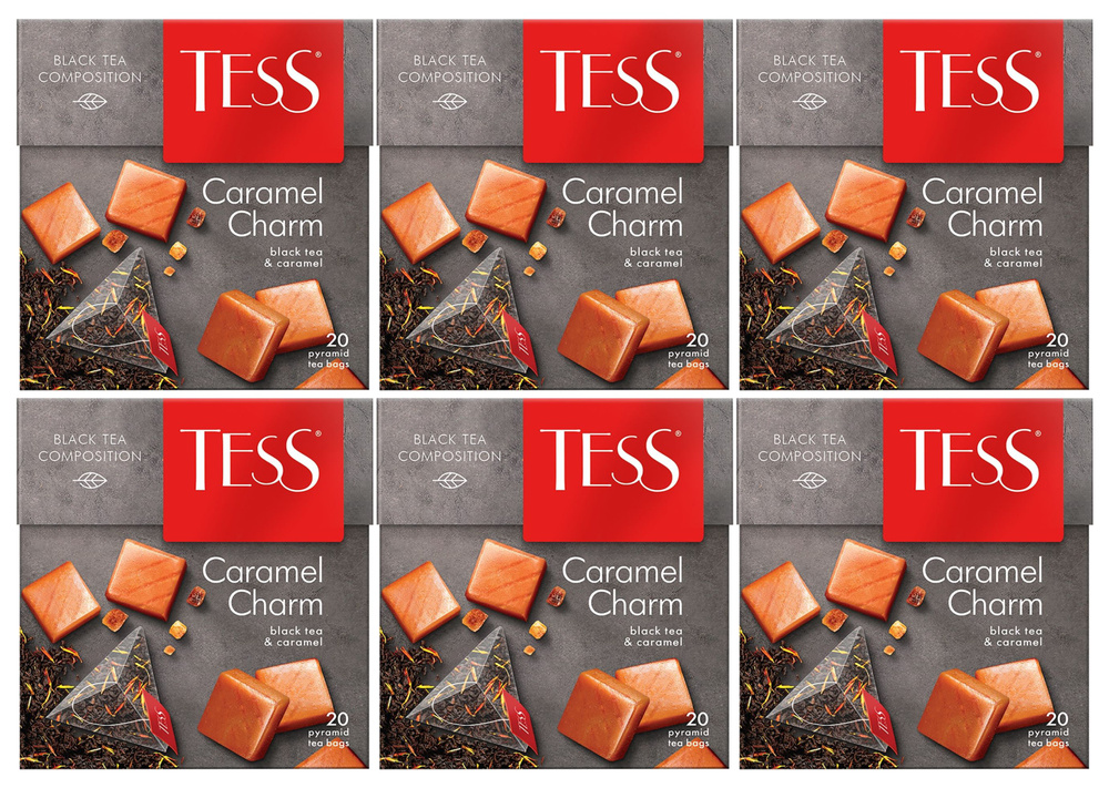 Чай черный в пирамидках Tess Caramel Charm, 20 пакетиков х 6шт. Аромат сливок и кусочки карамели  #1