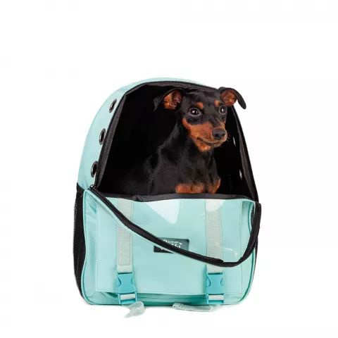 Рюкзак для переноски кошек и собак, 33x43x21 см #1
