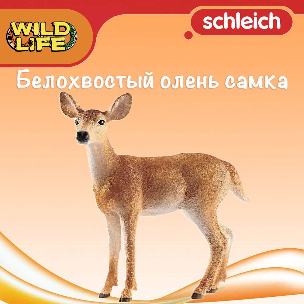 Фигурка "Белохвостый олень самка" Schleich Wild Life/ для детей от 3 лет/ Шляйх 14819  #1