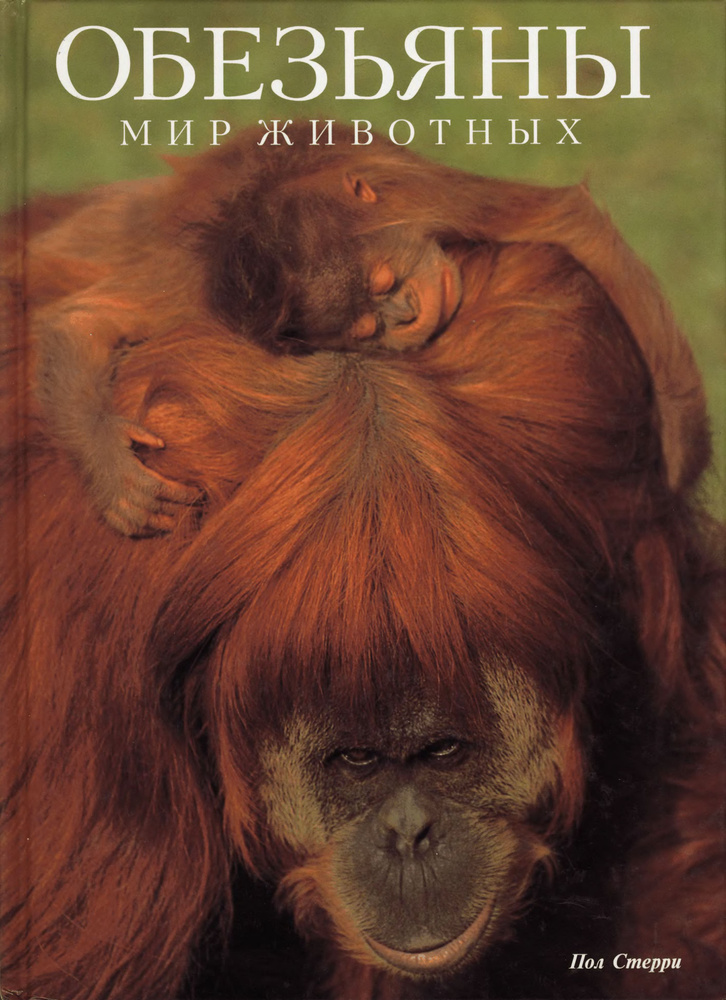 Обезьяны. Мир животных (Более 90 цветных иллюстраций. Размер книги 33х24 см) | Стерри Пол  #1