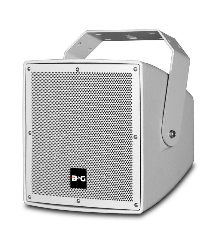BG Трансляционный громкоговоритель IP212T - Система акустическая с трансформатором, 300 Вт, серый  #1
