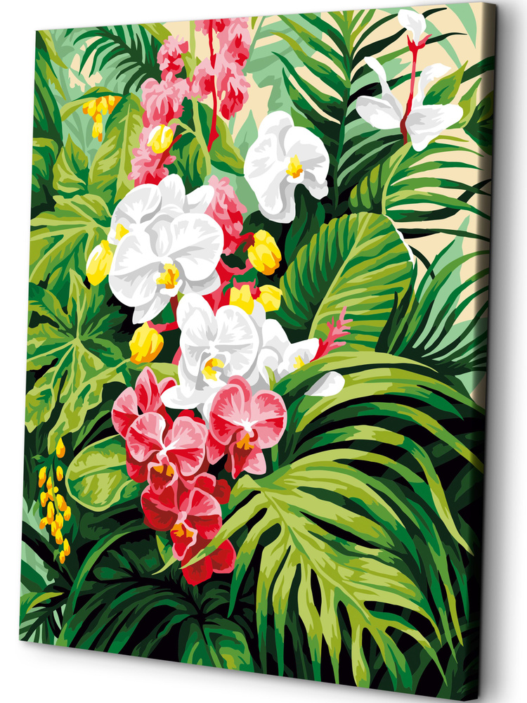 Картина по номерам на холсте с подрамником 40х50 "Дикая орхидея"  #1