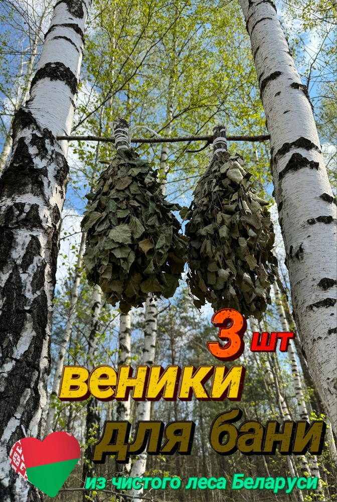 Веник для бани Березовый, 3 шт.  #1